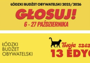 Plakat głosuj