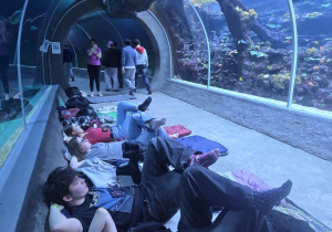 Uczniowie leżący w tunelu oceanicznym