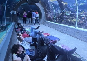 Uczniowie leżący w tunelu oceanicznym